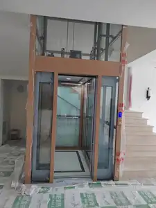 Gantry Frame Type Traction Residential Lift Home Elevator From China