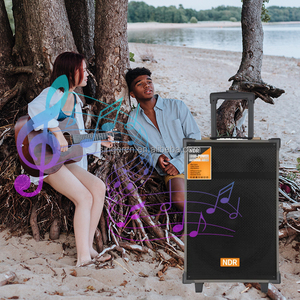 NDR-C12 Không Dây Loa Di Động 40W Có Thể Sạc Lại Âm Thanh Hộp Loa Loud Hệ Thống Âm Thanh Stereo Với Micro Kép Và Điều Khiển Từ Xa - Product Image 6