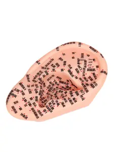 Modelo de <span class=keywords><strong>Acupuntura</strong></span> de Material de PVC de 18 cm, Clase I, para el Estudio de <span class=keywords><strong>Acupuntura</strong></span> y Meridianos - Product Image 5