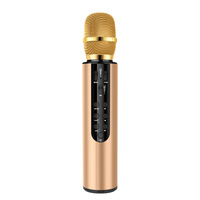 Meilleure vente en stock : M6 Tout-en-un pour haut-parleur de karaoké 5.3 avec micro cardioïde, connecteur Type-C, batterie 2000 mAh pour chant