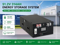 Boîtier de batterie LiFePO4 DIY ShanKi V6 280Ah/314Ah vide avec kit 48V 16S, BMS, écran LCD et chauffage pour système de stockage solaire