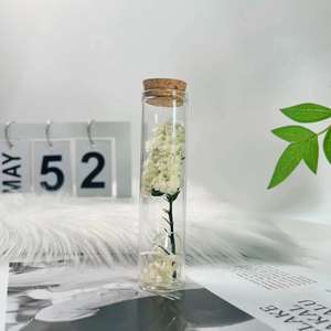 Tube à essai de roses séchées bouquet de fleurs séchées en verre petits ornements spécimen de plante diy pour le cadeau de la fête des enseignants - Product Image 3