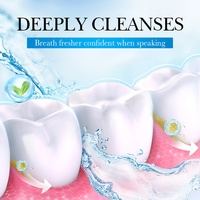 Série de soins bucco-dentaires probiotiques à la menthe sous marque privée – Comprimés de dentifrice solides pour un nettoyage en profondeur, sans alcool, pour une haleine fraîche – Fabrication OEM pour usage domestique