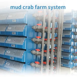 Sistema de fazenda de caranguejo, equipamentos para agricultura de caranguejo