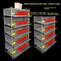 Cages métalliques pour cailles et perdrix à hauteur ajustable, avec système d'évacuation automatique du fumier, conception tridimensionnelle, alimentation/abreuvement automatiques