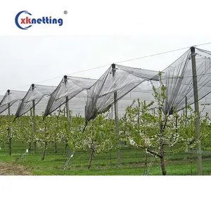 Fabrik versorgung Gute Qualität Hdpe Landwirtschaft liches Anti-Hagel-Netz Obstgarten Baum Hagels chutznetz/Apfelbaum Anti-Hagel-Netz