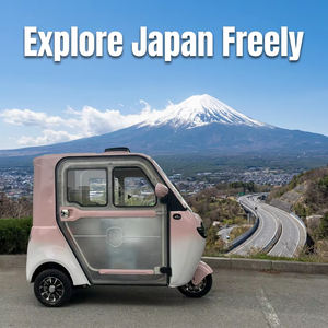 Mini scooter électrique à faible vitesse 60V fabriqué en Chine, tricycle électrique de loisirs fermé pour usage domestique, caméra de recul - Product Image 1