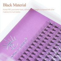 Song Lashes Logo privé ventilateurs PBT coréens Base super mince faite à la main russie synthétique Pro Made Fans cils
