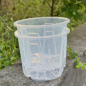 Vaso di fiori trasparente a corto grasso Qingshan con controllo della radice Phalaenopsis Cattleya plastica tropicale classico - Product Image 6