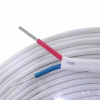 Großhandel 2*4 mm2 Aluminium Flach draht 300V 500V BLVVB PVC-ummanteltes Kabel Industrielle Verwendung Elektrischer Draht