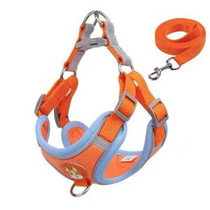 Arnés para perros pequeños, correa ajustable para el pecho de nailon para Teddy, Bulldog Francés, Corgi y otras razas pequeñas - Product Image 4