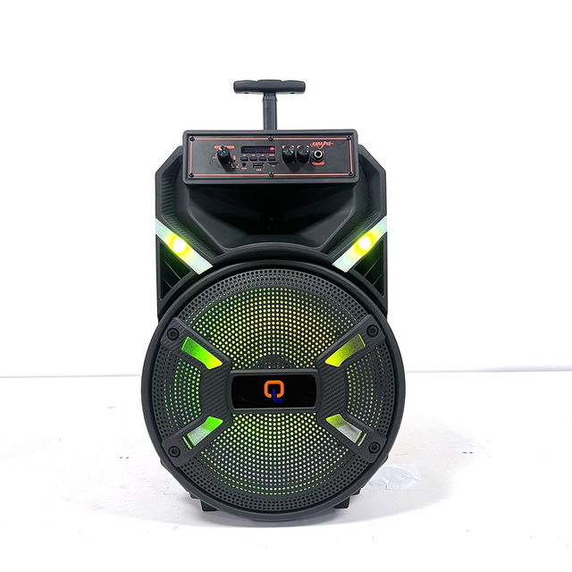12" Party Portable Speaker with BT RGB Light 3.7V Wireless Microphone Remote Control USB/RCA/XLR/AUX 20W Plastic for Karaoke