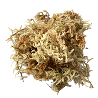 Ornamen taman tanam anggrek tiruan alami retensi air tinggi ramah lingkungan Sphagnum Moss kelas Premium