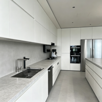 Meubles de cuisine modulaires en L, finition laquée mate bicolore, vitrine murale en verre, fermeture amortie, fabrication OEM/ODM