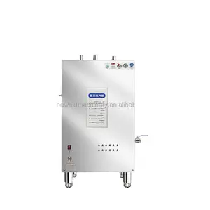 steam generator sauna/steam generator iron/mini electric steam generator