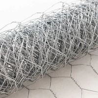 Grillage hexagonal galvanisé à chaud pour cages, sculptures florales, élevage de poulets, bricolage et découpe de précision