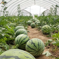 Film de serre à 7 couches d'isolation thermique, film diffuseur résistant aux UV, anti-goutte, en plastique, pour la culture de fruits et légumes