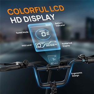 Vélo de ville électrique E20 avec moteur arrière sans balais, batterie au lithium 48V, 7 vitesses, pneus larges de 20 pouces, haute puissance, disponible en OEM/ODM - Product Image 6