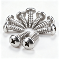 Vis autotaraudeuses à tête cruciforme en acier inoxydable SS304 durables, accessoires de quincaillerie