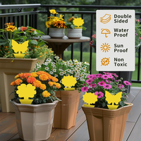 Fungus Gnat Killer Intérieur Sticky Traps Plant Fly Stickers pour une utilisation intérieure et extérieure