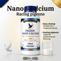 Supplément d'eau potable au calcium pour pigeons 250 ml, Nano Calcium Liquide 10 ml par 2000 ml pour oiseaux de course et colombes, en stock