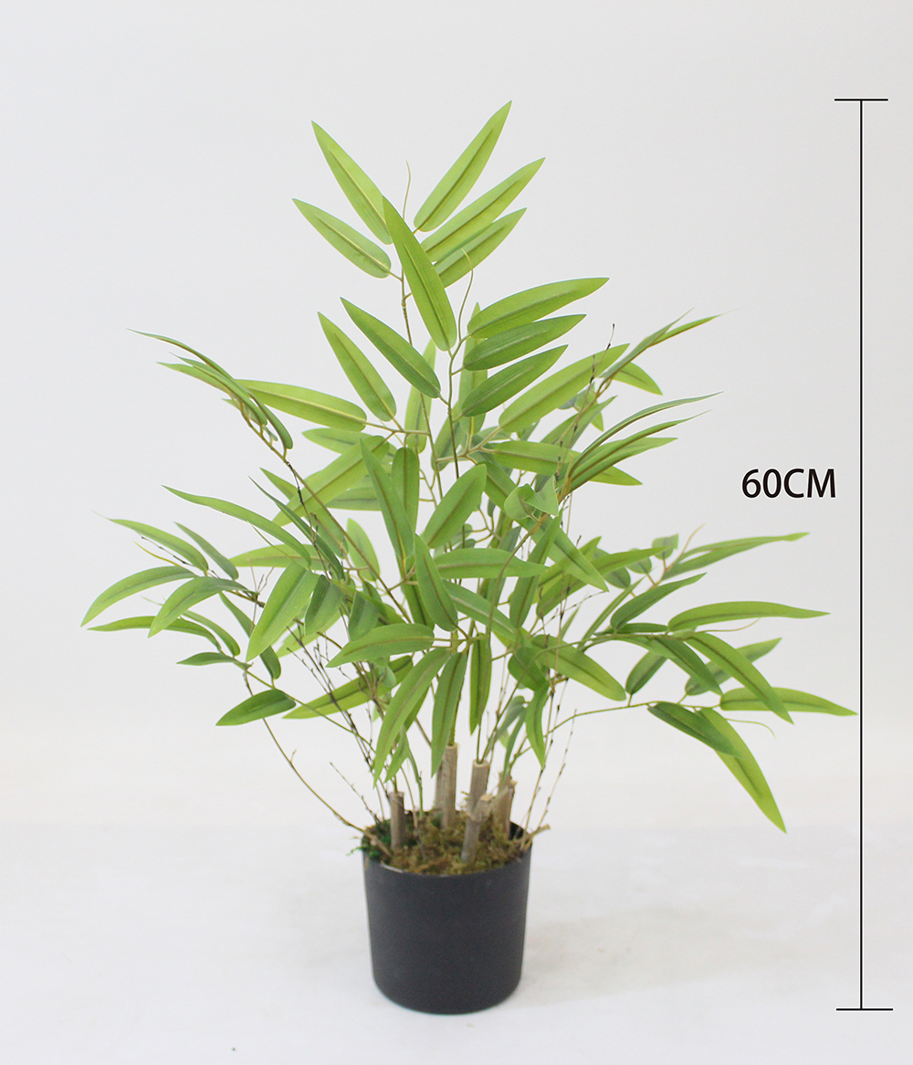 Green-60