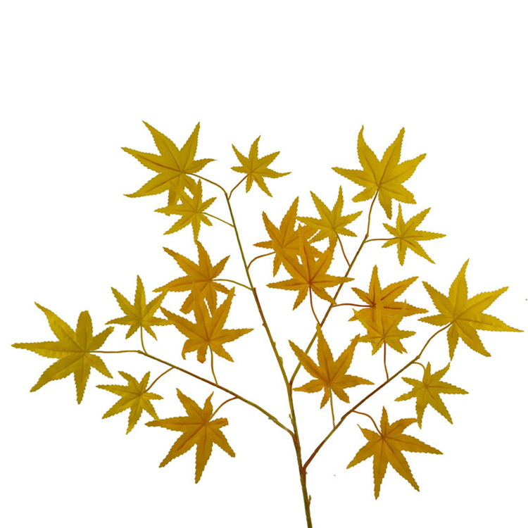 Couleur 4
