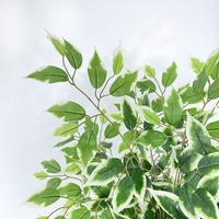 Arbre ficus artificiel en plastique, feuille de banian réaliste, haute qualité, 150 cm, pour la décoration de la maison et du jardin