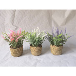 2023 Flores y plantas decorativas Flores <span class=keywords><strong>De</strong></span> <span class=keywords><strong>Lavanda</strong></span> <span class=keywords><strong>Bonsai</strong></span> <span class=keywords><strong>Lavanda</strong></span> Flor Boda <span class=keywords><strong>Lavanda</strong></span> Artificial Ramo <span class=keywords><strong>De</strong></span> <span class=keywords><strong>Lavanda</strong></span> - Product Image 1