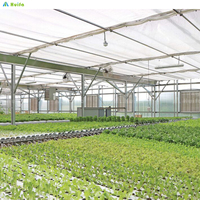 Serre agricole commerciale personnalisée en Chine, grande tunnel unique à plusieurs travées en film PE pour l'agriculture et la plantation, modèle populaire