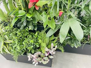 <span class=keywords><strong>Jardinière</strong></span> surélevée décorative en alliage d'aluminium pour l'extérieur, bac à plantes pour légumes, taille personnalisable - Product Image 1