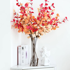 <span class=keywords><strong>Jarrones</strong></span> de vidrio de cilindro de vidrio transparente para centros de mesa Jarrón de portavelas flotante de vidrio alto - Product Image 6