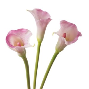Tulipán de Cala Artificial W-A0204, de una Sola Cara, Tacto Realista de PU, para Diseño Artístico y Decoración de Bodas - Product Image 3
