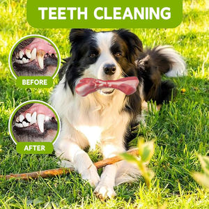 Yeni Ürün Köpek Oyuncakları Agresif Çiğneyiciler İçin Yok Edilemez Oyuncaklar Büyük Köpekler İçin Süper Çiğneyici Dayanıklı Naylon Köpekler İçin Hediye - Product Image 6