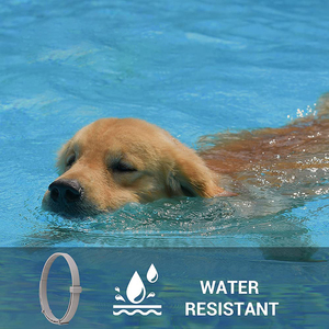 <span class=keywords><strong>Collar</strong></span> Calmante Ajustable para <span class=keywords><strong>Perros</strong></span> y Gatos, Seguro para el Verano, Impermeable, Previene Insectos, Efecto Calmante Duradero, Alivia la Ansiedad de las Mascotas - Product Image 6