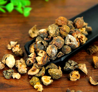 Yu Gan Zi Phyllanthus Emblica AD Fruits séchés bruts, graines de plantes médicinales chinoises, PhyllanthiFructus, aliments santé de haute qualité