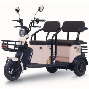 Tailg Chinês Eec Cool Design Novo 500W Adulto Motocicleta Triciclo Elétrico Trike Com Volante