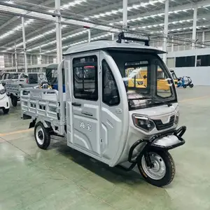 Certification Fashionable Haibao B02-160 Custom Family Use Adult Electric 3 Wheel Tricycle Made In China