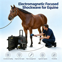 Appareil à ondes de choc vétérinaire pour chevaux, thérapie des tissus profonds équine, soulagement de la douleur, ondes de choc ciblées, marque privée personnalisée