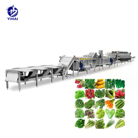 Automatische industriële fruit- en groentewaslijn voor appel, aardappel, tomaat, roestvrij staal 304, hoge efficiëntie