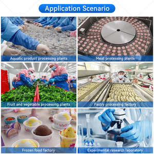 Congelatore Rapido Industriale Automatico <span class=keywords><strong>ORME</strong></span> con 6/30 Vassoi in Acciaio Inox e Motore -40°C per Pizza e Pesce - Product Image 6