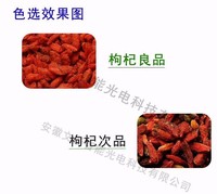Trieuse chromatique intelligente compacte Wenyao pour la sélection de goji, de mûres et de fruits secs