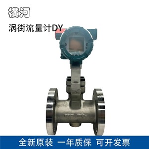 Débitmètre vortex Yokogawa DY050-EALSR4-2D en acier inoxydable 316 avec bride ANSI 300 pour la mesure de liquides - Product Image 1