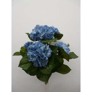 HYDRENSIA BUSH X5 40CM BL - Product Image 1