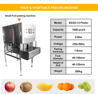 Automatische mango-, aardappel-, papaja- en wortelschilmachine van SUS304 food grade materiaal, voor het schillen van groenten en fruit.
