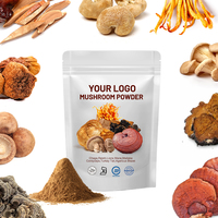Poudre d'Extrait de Champignons Herbacés de Haute Qualité, Prix de Gros OEM, Corps Entier de Crinière de Lion, Reishi, Chaga, Wuling