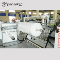 Machine à film bulle Pansatec LDPE LLDPE, ligne de production de feuilles en rouleaux à haute productivité personnalisée à 2 couches