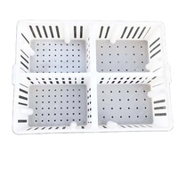 Cage de transport durable pour poulets, boîte de retournement en plastique pour poussins, caisse de livraison pour poules, filet de transport pour poulets de chair, panier de voyage pour coqs