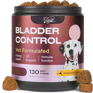 OEM Dog UTI Treatment Friandises molles à mâcher aux canneberges pour la fonction immunitaire Voies urinaires Santé des reins Supplément pour toutes les races - Product Image 1