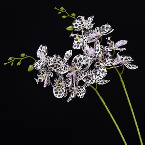 Orchidée Phalaenopsis Artificielle Yibo People, 7 Têtes Rayées Noires et Blanches et Têtes Léopard, Décoration Haut de Gamme pour la Maison et les Mariages - Product Image 4